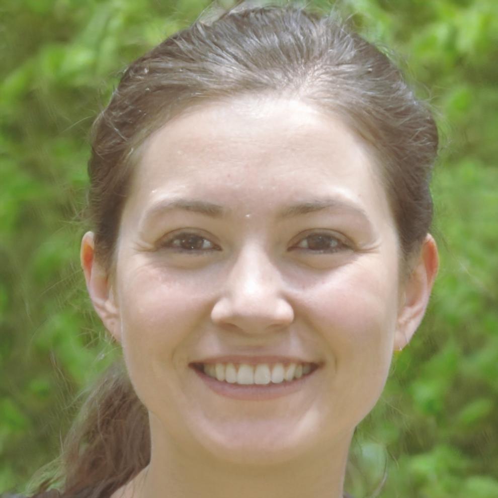 Sarah Hoffmann, Technische Entwicklung